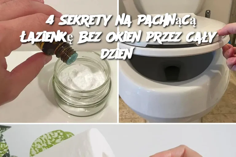 4 Sekrety na Pachnącą Łazienkę Bez Okien przez Cały Dzień