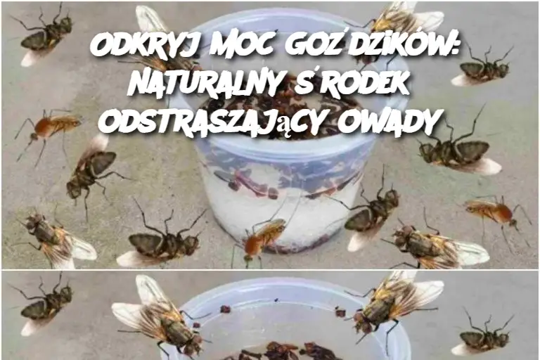 Odkryj moc goździków: naturalny środek odstraszający owady