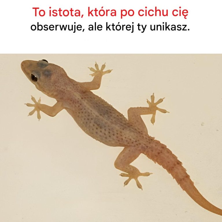 To istota, która po cichu cię obserwuje, ale której ty unikasz.