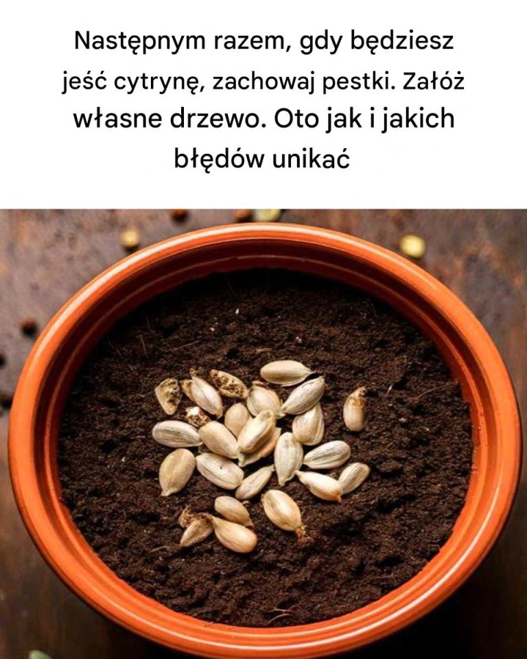 Naprawdę nie wiedziałem, że można to zrobić