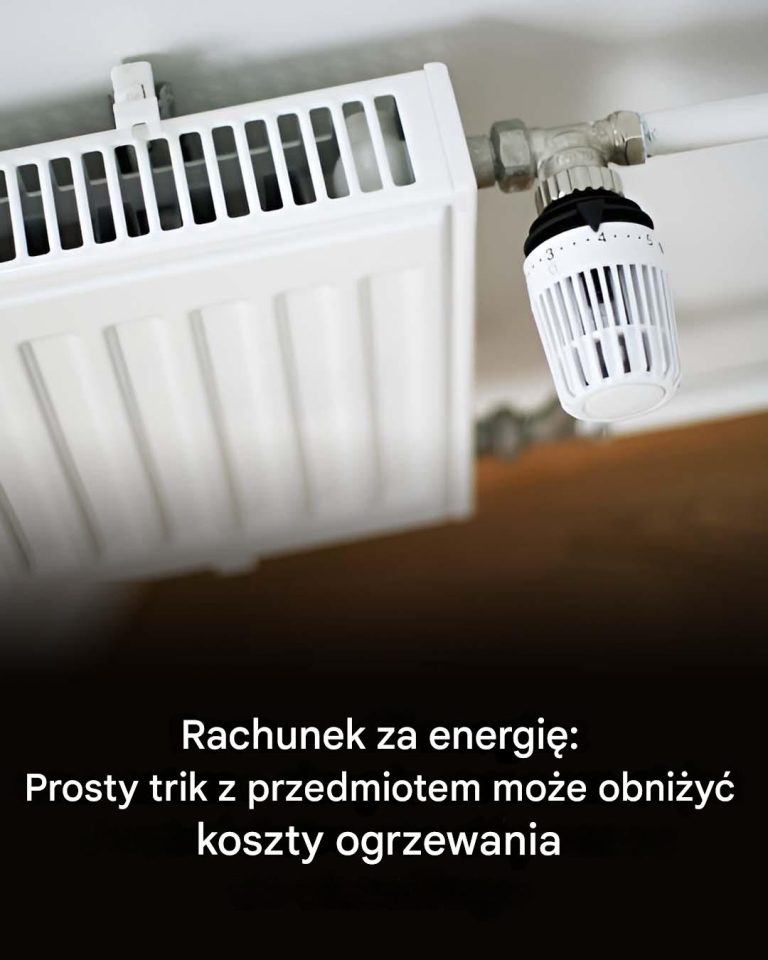 Rachunek za energię: japońska sztuczka z prostym przedmiotem, która pozwoli Ci obniżyć koszty ogrzewania