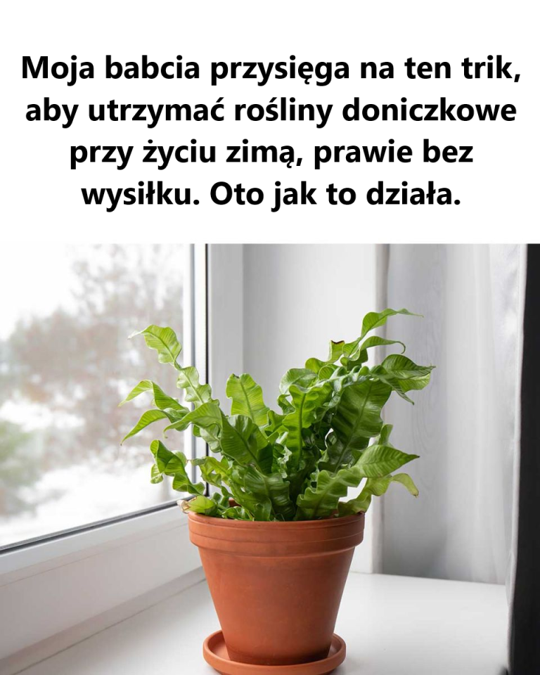 taki mądry