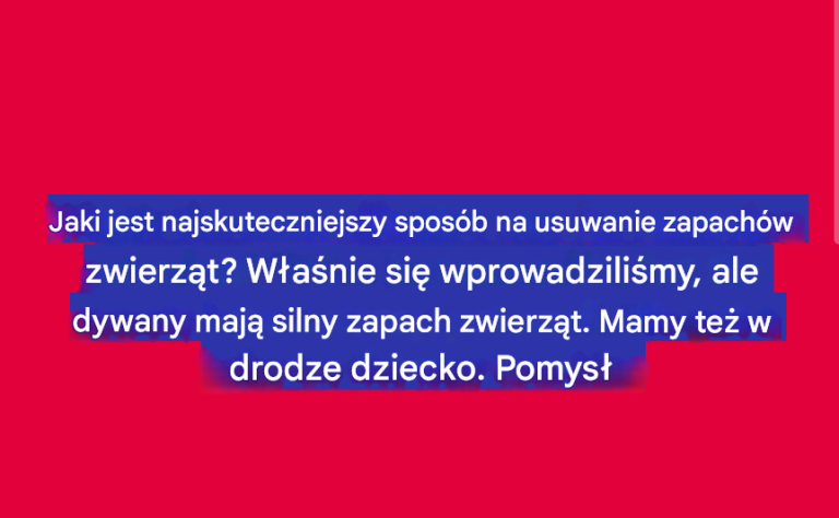 Jaki jest najskuteczniejszy sposób na usuwanie zapachów zwierząt? Właśnie się wprowadziliśmy, ale dywany mają silny zapach zwierząt. Mamy też w drodze dziecko. Pomysły?