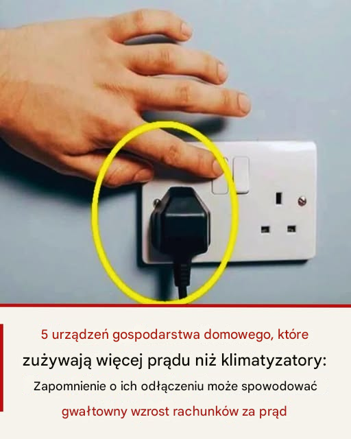 Podstępne wampiry energetyczne: 5 urządzeń gospodarstwa domowego, które bardziej opróżniają Twój portfel niż klimatyzacja