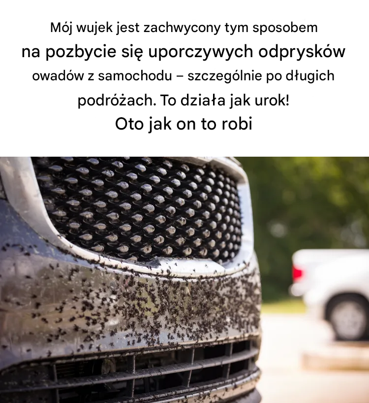 Jak czyścić samochody z owadów: co robić przed i po